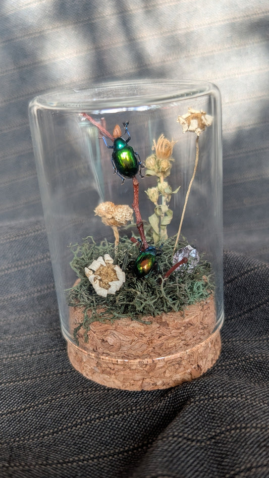 Small Beetle Cloche